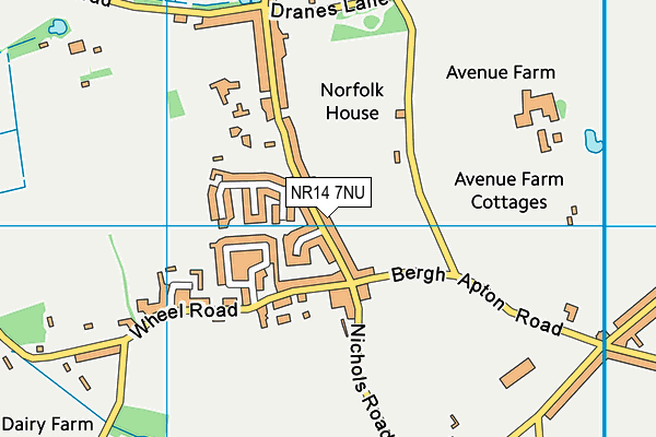 NR14 7NU map - OS VectorMap District (Ordnance Survey)
