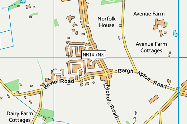 NR14 7NX map - OS VectorMap District (Ordnance Survey)