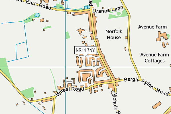 The Garrick Field map (NR14 7NY) - OS VectorMap District (Ordnance Survey)