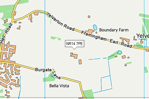 NR14 7PE map - OS VectorMap District (Ordnance Survey)