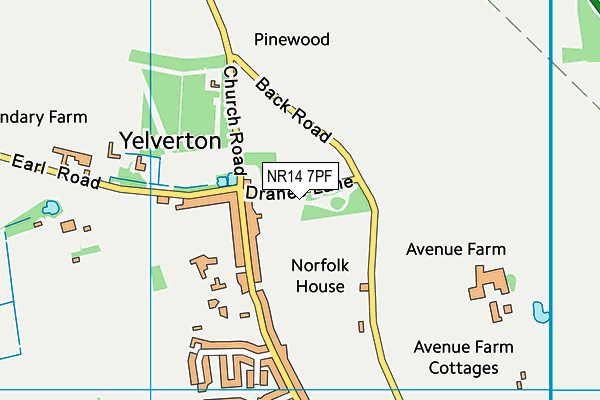 NR14 7PF map - OS VectorMap District (Ordnance Survey)