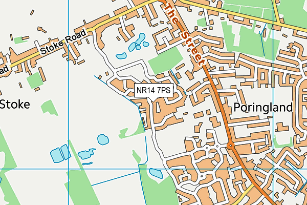 NR14 7PS map - OS VectorMap District (Ordnance Survey)