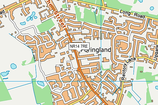 NR14 7RE map - OS VectorMap District (Ordnance Survey)