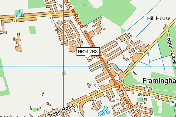 NR14 7RS map - OS VectorMap District (Ordnance Survey)