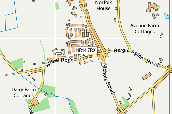 NR14 7RX map - OS VectorMap District (Ordnance Survey)