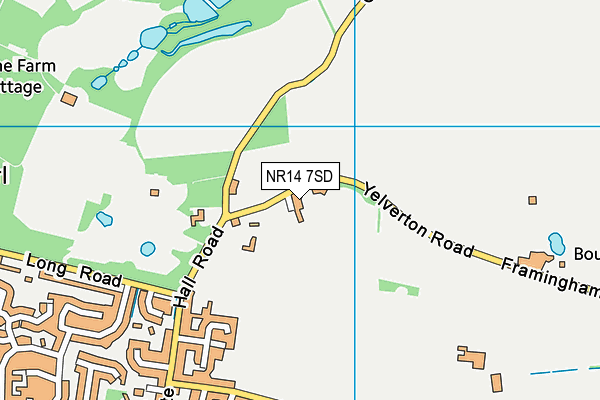 NR14 7SD map - OS VectorMap District (Ordnance Survey)