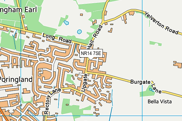 NR14 7SE map - OS VectorMap District (Ordnance Survey)