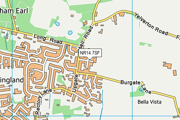 NR14 7SF map - OS VectorMap District (Ordnance Survey)