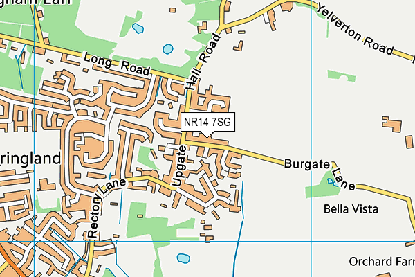 NR14 7SG map - OS VectorMap District (Ordnance Survey)