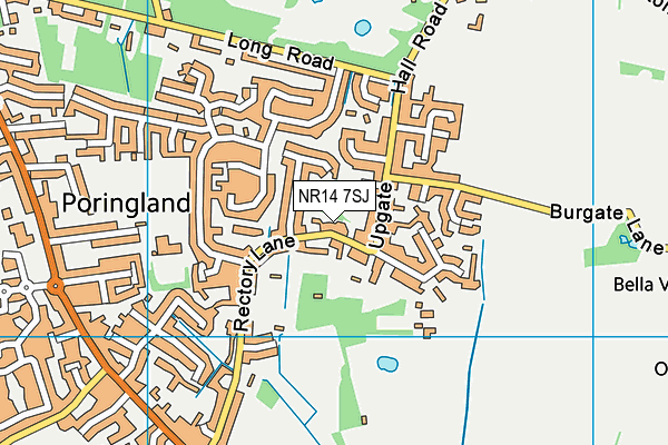 NR14 7SJ map - OS VectorMap District (Ordnance Survey)