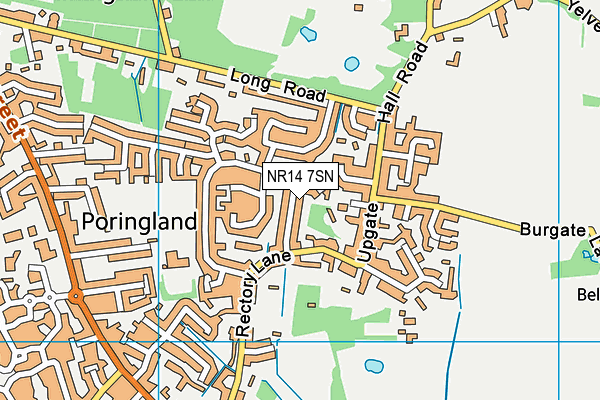 NR14 7SN map - OS VectorMap District (Ordnance Survey)