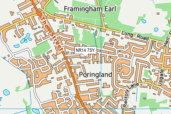 NR14 7SY map - OS VectorMap District (Ordnance Survey)