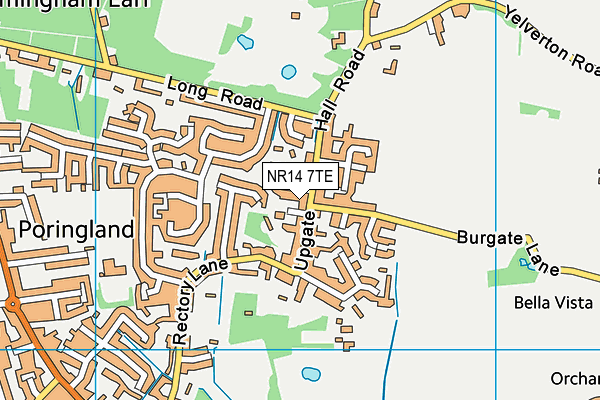 NR14 7TE map - OS VectorMap District (Ordnance Survey)