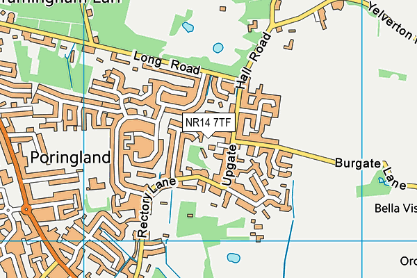 NR14 7TF map - OS VectorMap District (Ordnance Survey)