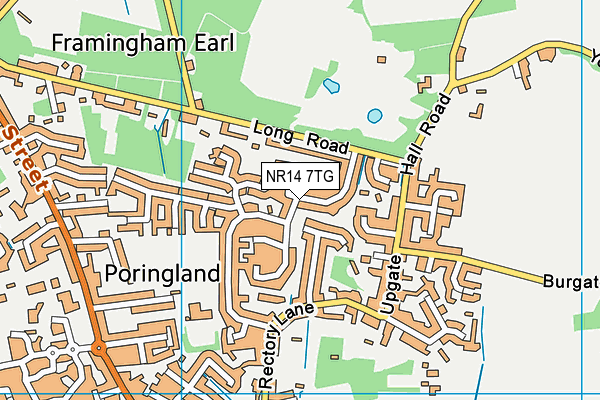 NR14 7TG map - OS VectorMap District (Ordnance Survey)