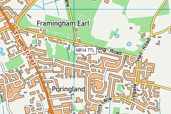 NR14 7TL map - OS VectorMap District (Ordnance Survey)