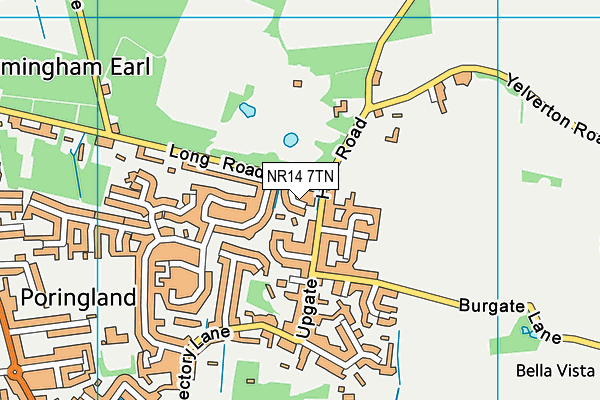 NR14 7TN map - OS VectorMap District (Ordnance Survey)