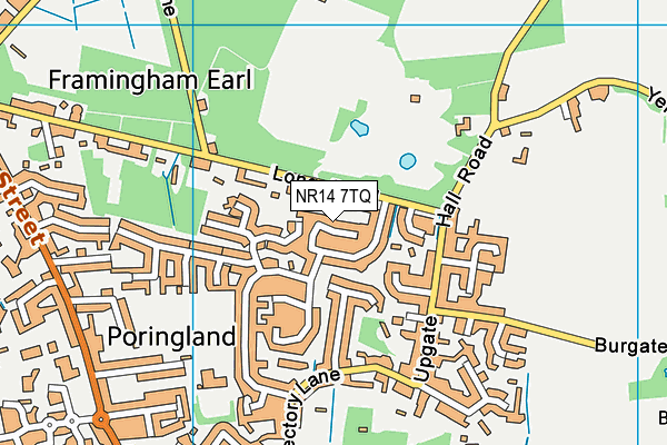 NR14 7TQ map - OS VectorMap District (Ordnance Survey)