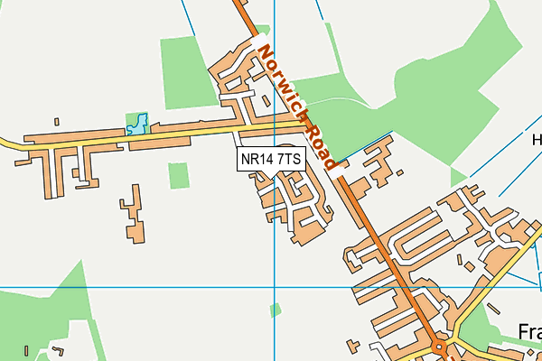 NR14 7TS map - OS VectorMap District (Ordnance Survey)
