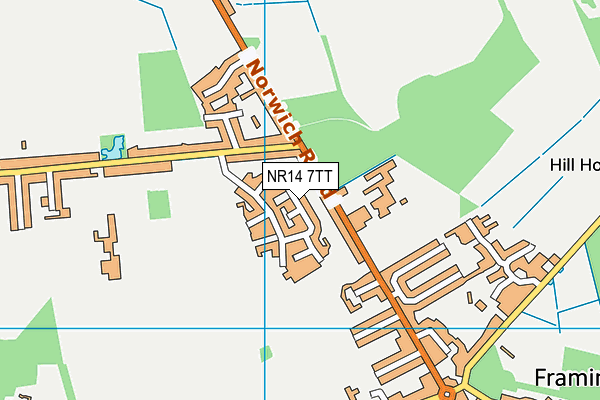 NR14 7TT map - OS VectorMap District (Ordnance Survey)