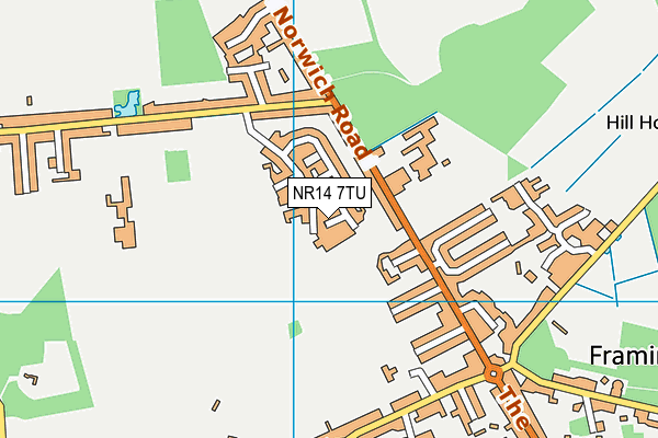NR14 7TU map - OS VectorMap District (Ordnance Survey)