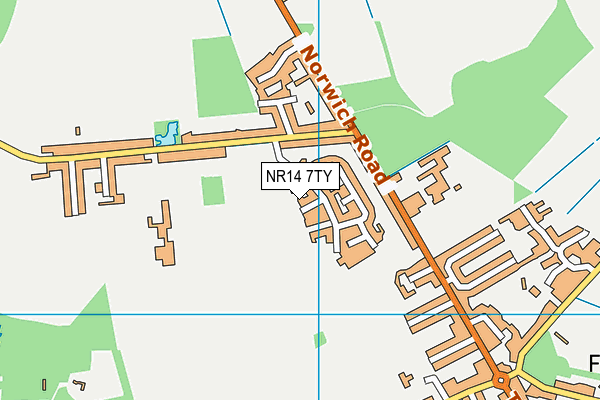 NR14 7TY map - OS VectorMap District (Ordnance Survey)