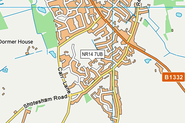 NR14 7UB map - OS VectorMap District (Ordnance Survey)
