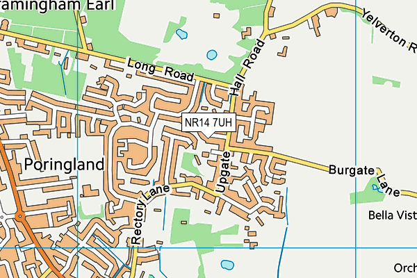 NR14 7UH map - OS VectorMap District (Ordnance Survey)