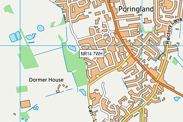 NR14 7WH map - OS VectorMap District (Ordnance Survey)