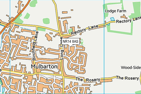 NR14 8AS map - OS VectorMap District (Ordnance Survey)