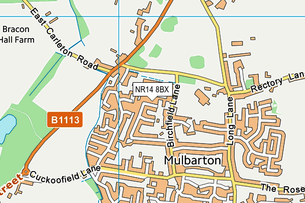 NR14 8BX map - OS VectorMap District (Ordnance Survey)