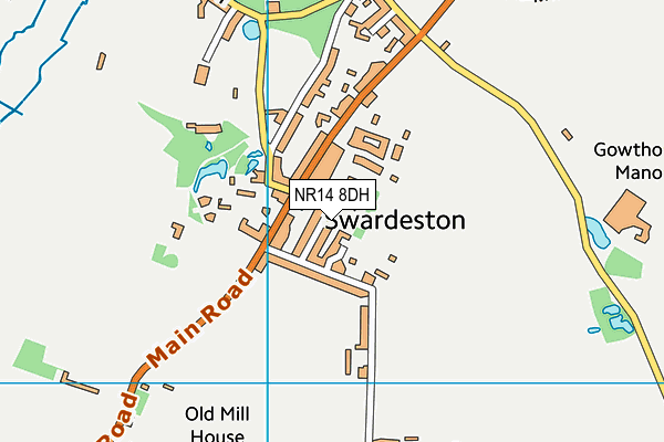 NR14 8DH map - OS VectorMap District (Ordnance Survey)