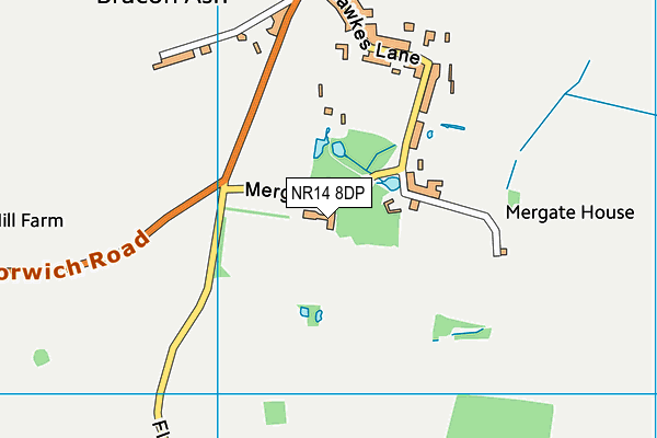 NR14 8DP map - OS VectorMap District (Ordnance Survey)