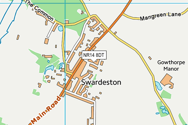 NR14 8DT map - OS VectorMap District (Ordnance Survey)
