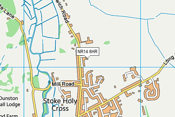 NR14 8HR map - OS VectorMap District (Ordnance Survey)