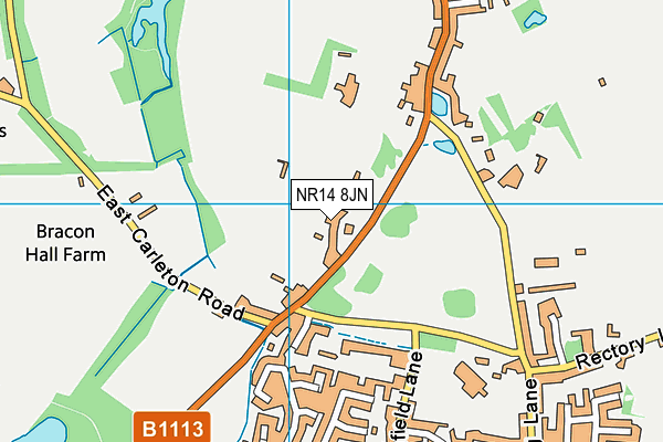 NR14 8JN map - OS VectorMap District (Ordnance Survey)