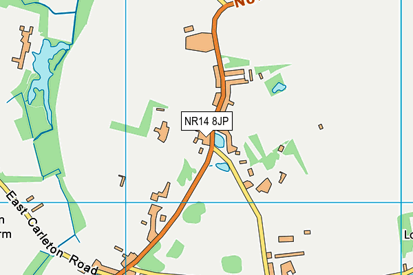 NR14 8JP map - OS VectorMap District (Ordnance Survey)