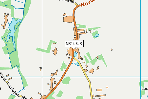 NR14 8JR map - OS VectorMap District (Ordnance Survey)