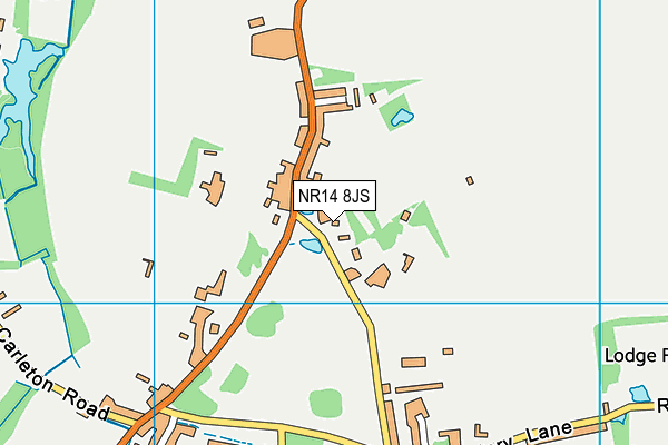 NR14 8JS map - OS VectorMap District (Ordnance Survey)