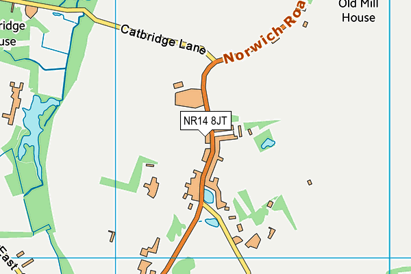 NR14 8JT map - OS VectorMap District (Ordnance Survey)