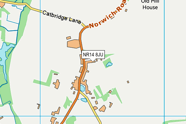 NR14 8JU map - OS VectorMap District (Ordnance Survey)