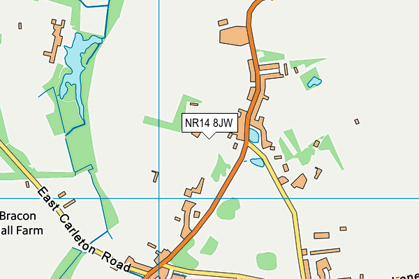 NR14 8JW map - OS VectorMap District (Ordnance Survey)