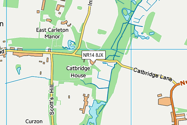 NR14 8JX map - OS VectorMap District (Ordnance Survey)