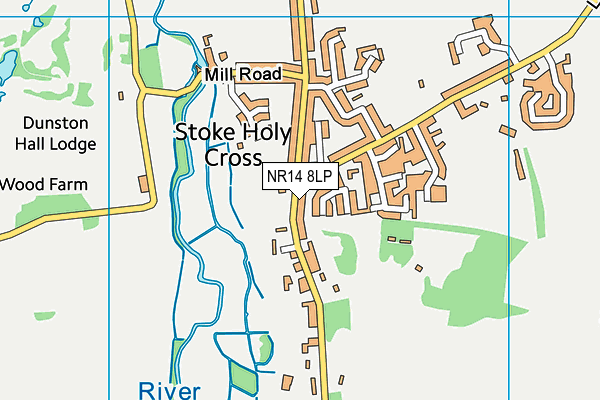 NR14 8LP map - OS VectorMap District (Ordnance Survey)