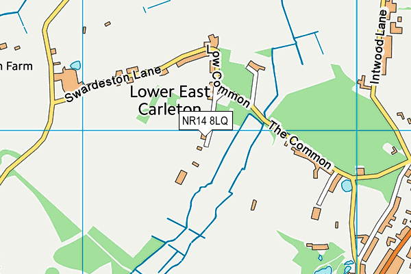 NR14 8LQ map - OS VectorMap District (Ordnance Survey)