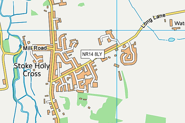 Stoke Holy Cross Playing Field map (NR14 8LY) - OS VectorMap District (Ordnance Survey)