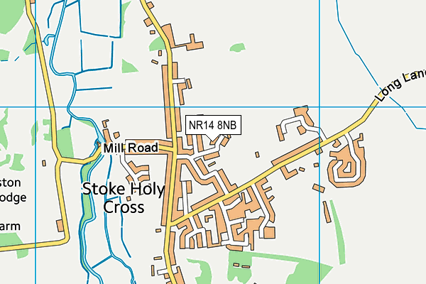 NR14 8NB map - OS VectorMap District (Ordnance Survey)
