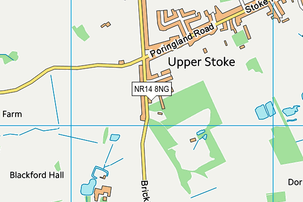 NR14 8NG map - OS VectorMap District (Ordnance Survey)