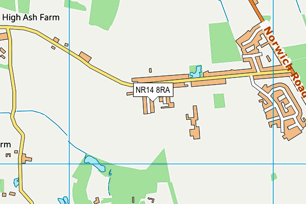 NR14 8RA map - OS VectorMap District (Ordnance Survey)