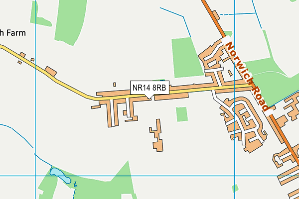 NR14 8RB map - OS VectorMap District (Ordnance Survey)